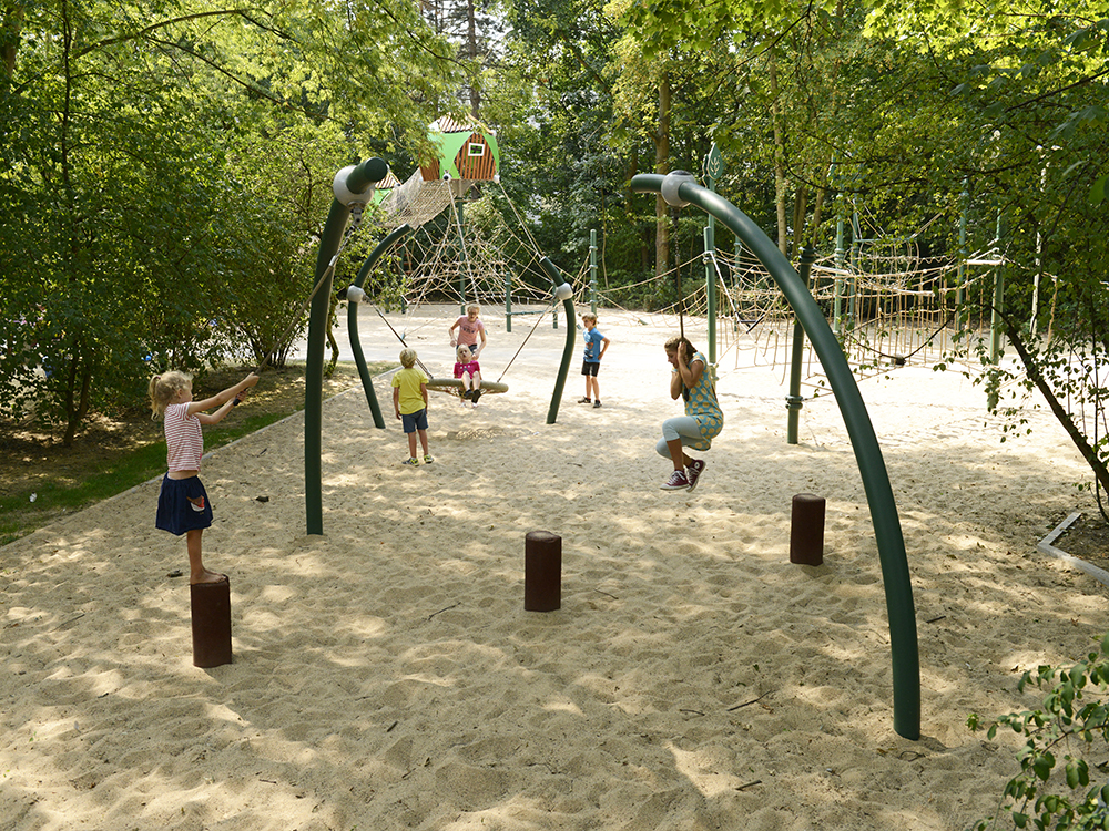 Children playing on rope swing