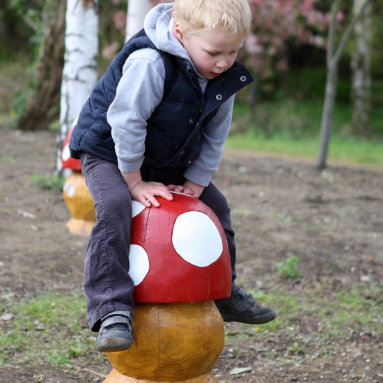 Boy playing on themed timber toadstool