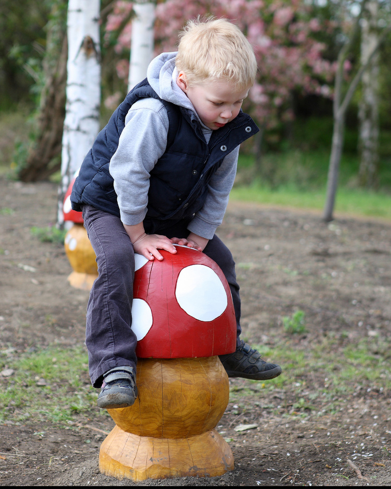 Boy playing on themed timber toadstool